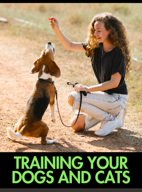 Unlock Your Pet’s Potential: 10 Reasons Why the Ultimate Guide – Training Dogs and Cats is a Must-Have