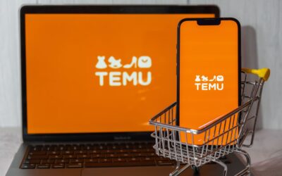 10 Compelling Reasons Why Choose TEMU to Buy Online: The Ultimate Shopping Experience